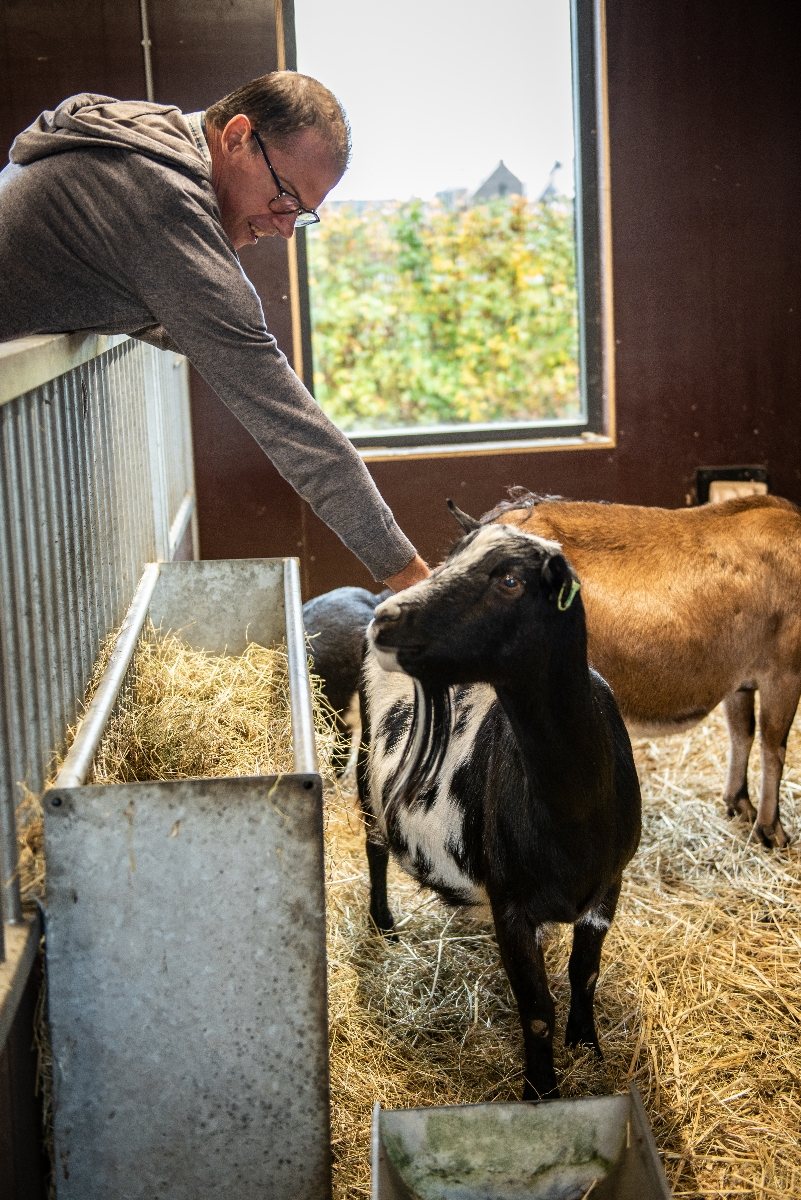 Dieren voeren tijdens de dagbesteding